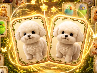 Animal Pair Card Match